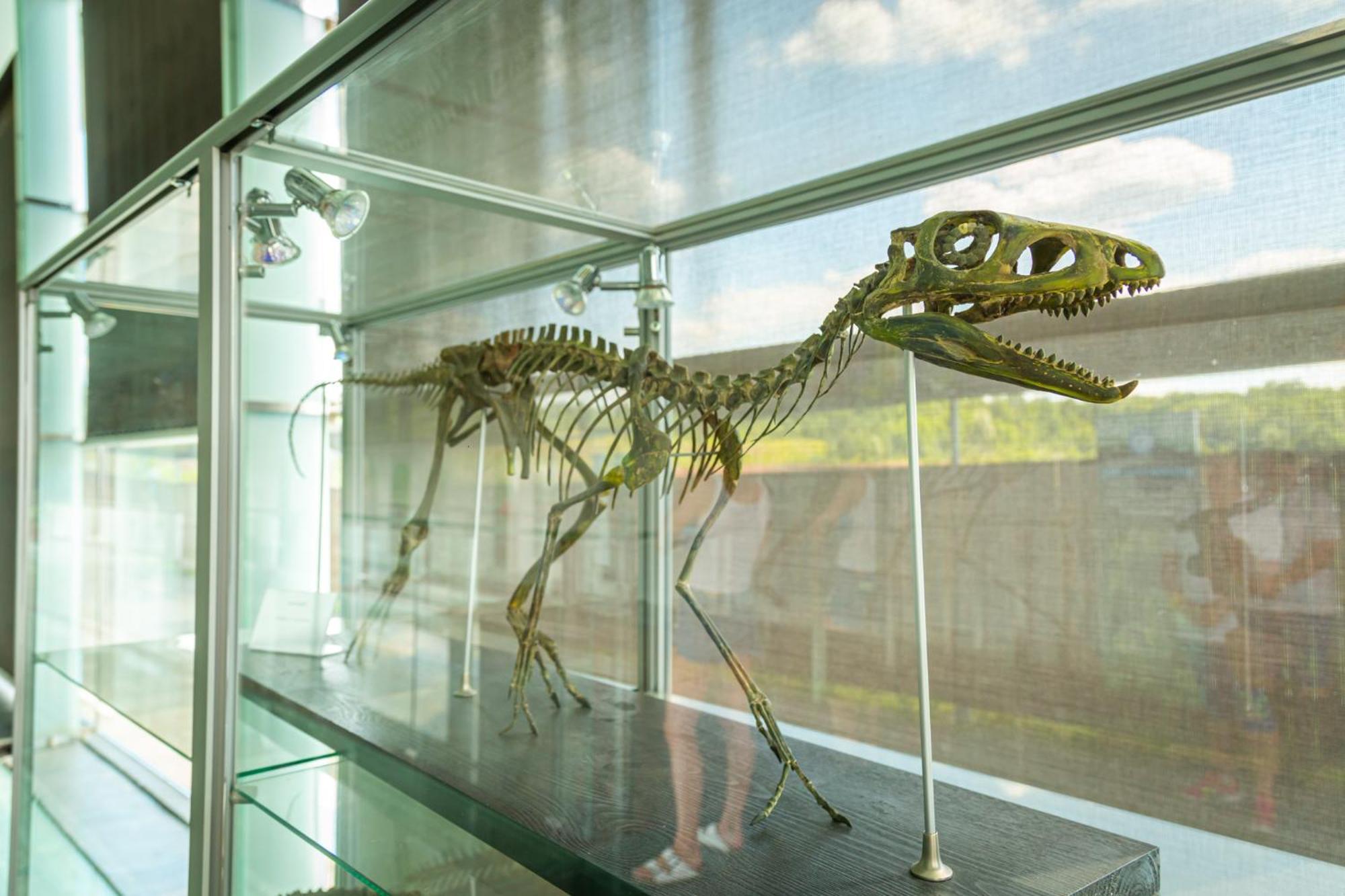 Noclegi Jurapark Krasiejow Exteriör bild