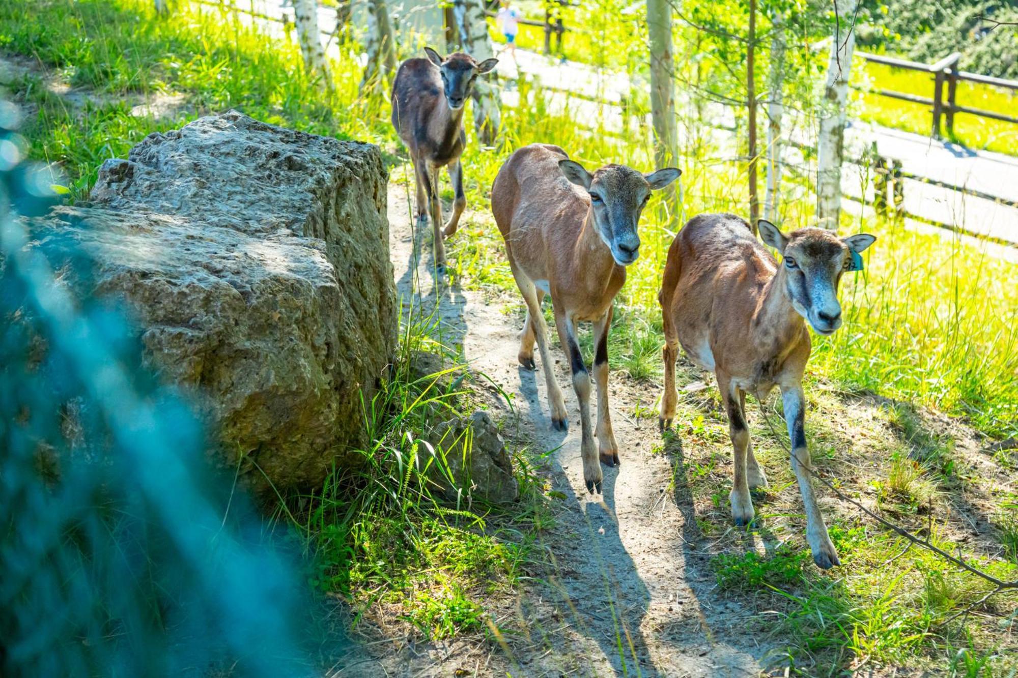 Noclegi Jurapark Krasiejow Exteriör bild